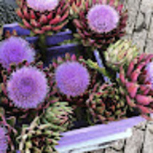 Meet your Posher, Mattie